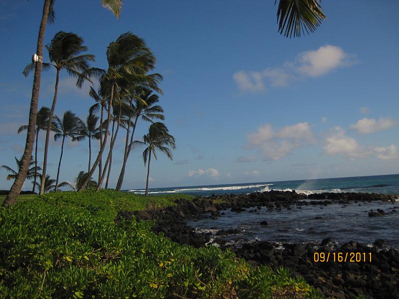 Picture 055